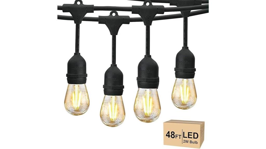 48 foot edison string lights