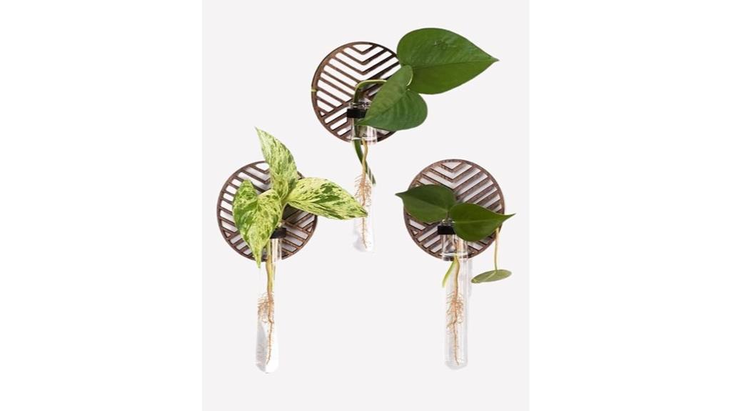 boho wall plant holder