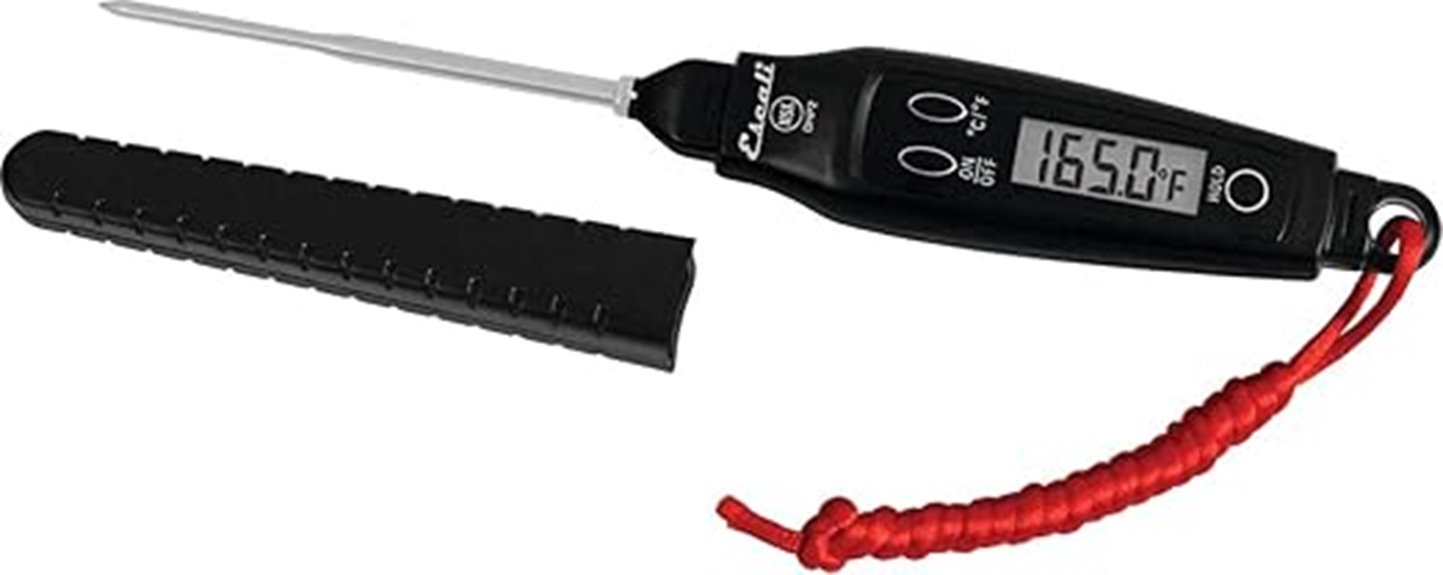 digital pen thermometer black