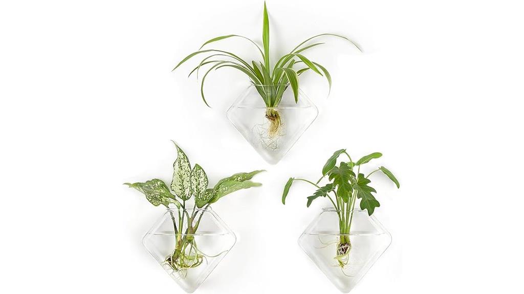 glass wall hanging planter