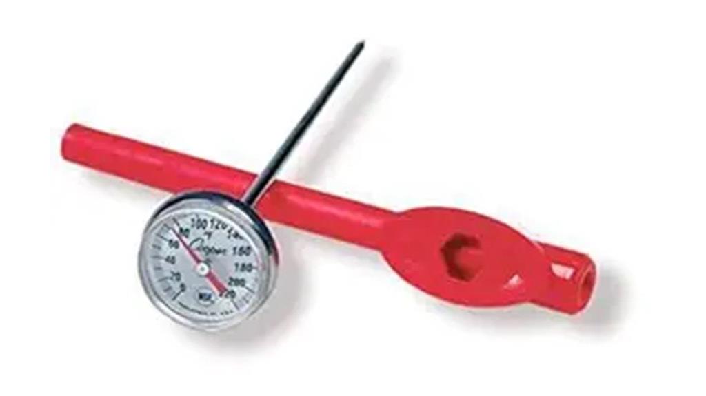 pocket thermometer for testing