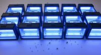 top pest light traps