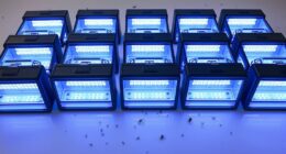 top pest light traps