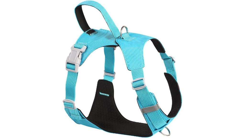 adjustable no pull harness