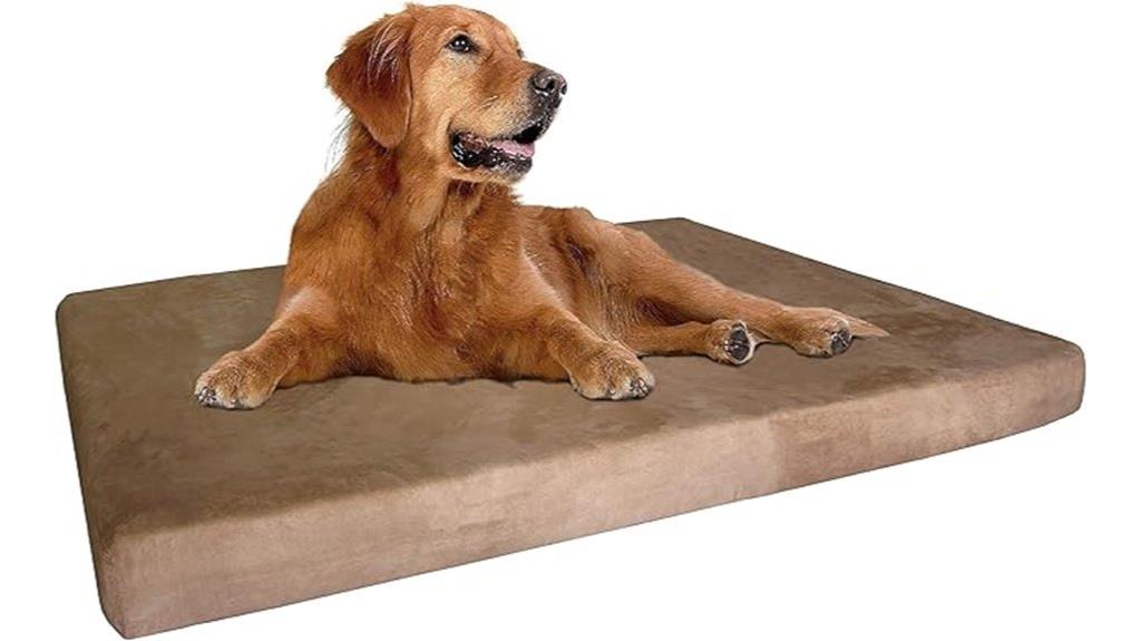 extra large orthopedic dog bed