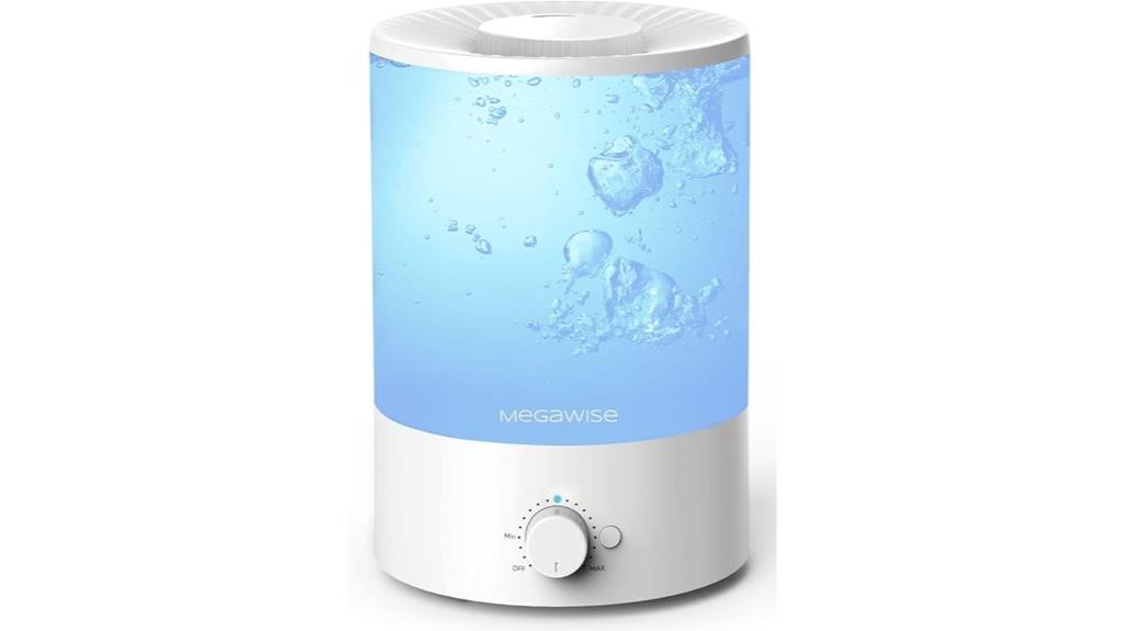 humidifier with water filter