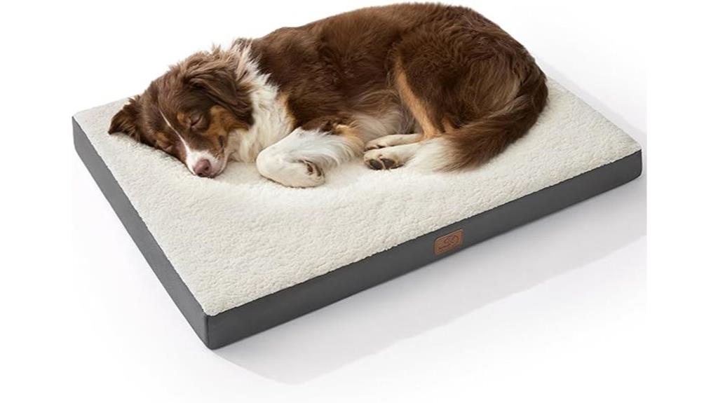 orthopedic large dog bed