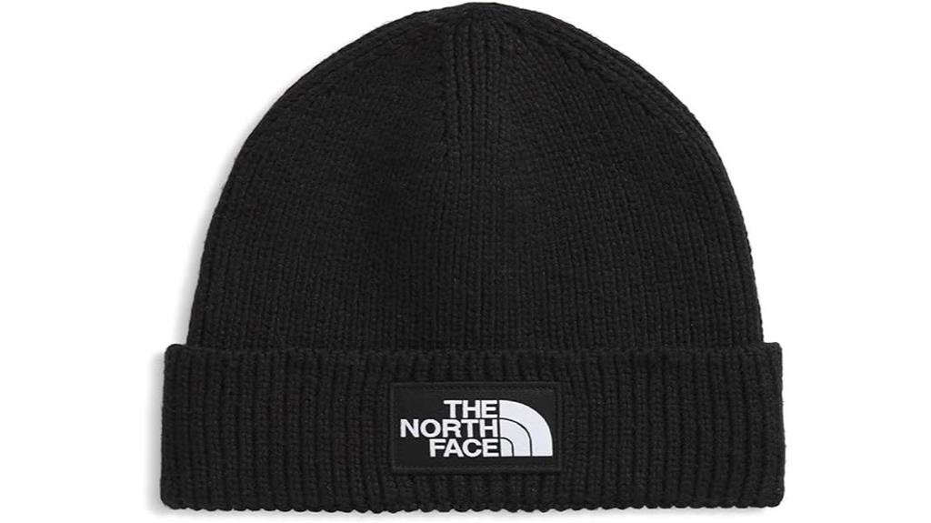 the north face beanie