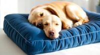 top orthopedic dog pillows