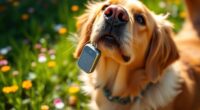 top pet gps trackers