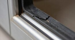 check door gasket seals