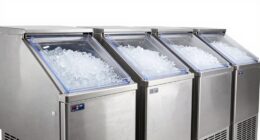 top flake ice machine picks