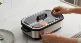14 Best Electric Lunch Box Warmer in 2026