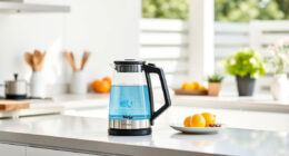 Ninja KT200BL Precision Temp Electric Kettle: Summer Tea & Coffee Companion