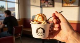 Dq Caramel Apple Cheesecake Blizzard