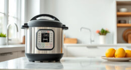 How to Fix a Instant Pot Pressure Cooker That Keeps Burn Error