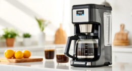 Ninja Hot & Iced XL Coffee Maker: Your Summer Coffee Companion