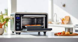 Summer Care & Troubleshooting for the Ninja Foodi XL Pro Air Oven