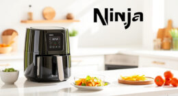 Summer Care & Troubleshooting for Your Ninja Foodi 8 Qt DualZone Air Fryer