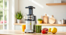 Summer Refresh with Ninja NeverClog Cold Press Juicer Accessories