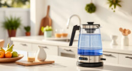 Summer Sips: Essential Accessories for Your Ninja KT200BL Electric Kettle